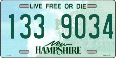 NH license plate 1339034