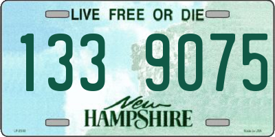 NH license plate 1339075