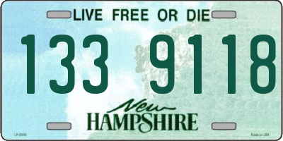 NH license plate 1339118