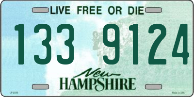 NH license plate 1339124