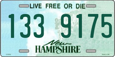 NH license plate 1339175