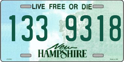NH license plate 1339318