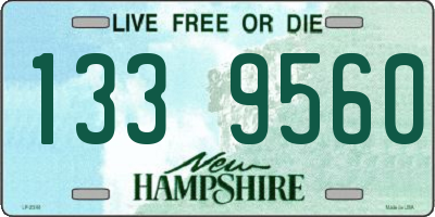 NH license plate 1339560