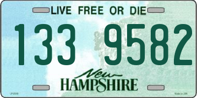 NH license plate 1339582
