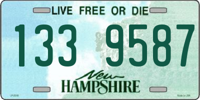 NH license plate 1339587