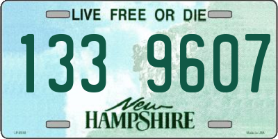NH license plate 1339607