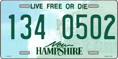 NH license plate 1340502