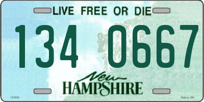 NH license plate 1340667