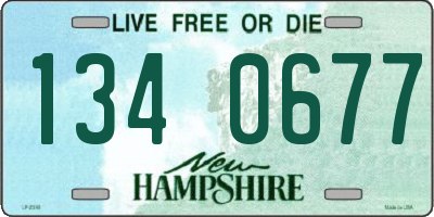 NH license plate 1340677