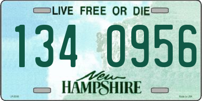 NH license plate 1340956