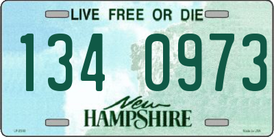 NH license plate 1340973