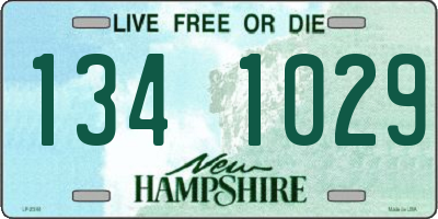 NH license plate 1341029