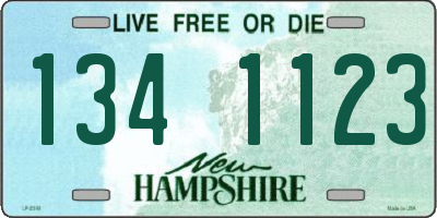 NH license plate 1341123