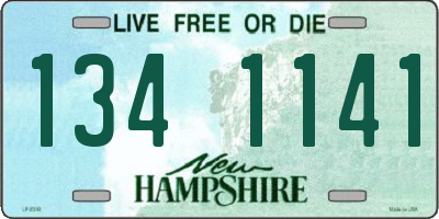 NH license plate 1341141