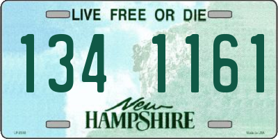NH license plate 1341161