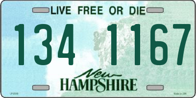 NH license plate 1341167