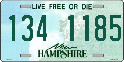 NH license plate 1341185