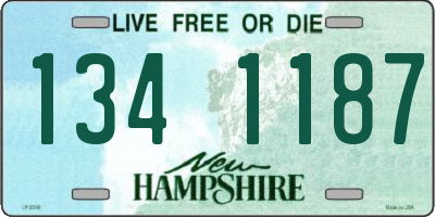 NH license plate 1341187