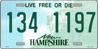 NH license plate 1341197