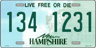 NH license plate 1341231