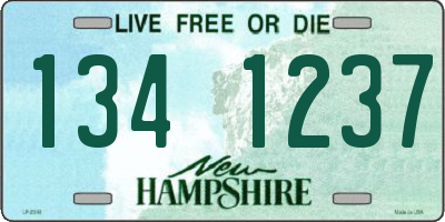 NH license plate 1341237
