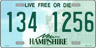 NH license plate 1341256