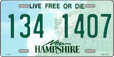 NH license plate 1341407