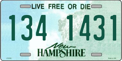 NH license plate 1341431