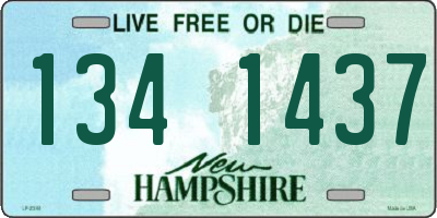 NH license plate 1341437