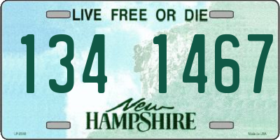 NH license plate 1341467