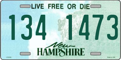 NH license plate 1341473