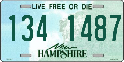NH license plate 1341487