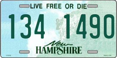 NH license plate 1341490