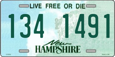 NH license plate 1341491