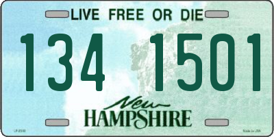 NH license plate 1341501