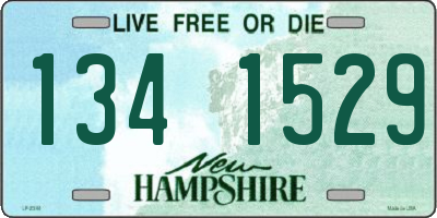 NH license plate 1341529