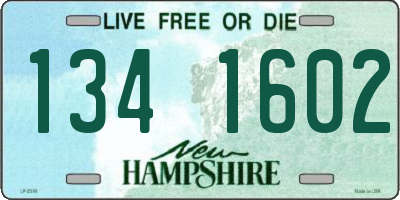 NH license plate 1341602