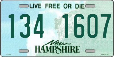 NH license plate 1341607