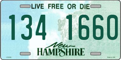NH license plate 1341660