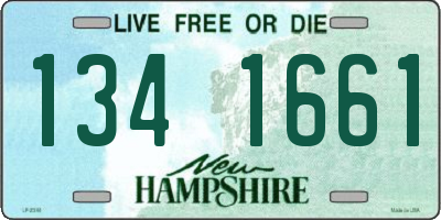 NH license plate 1341661