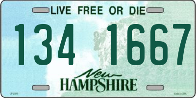 NH license plate 1341667