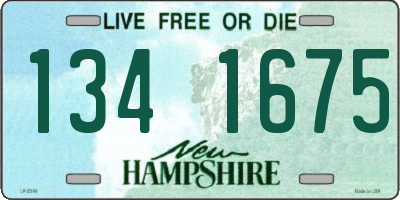 NH license plate 1341675