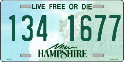 NH license plate 1341677