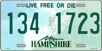 NH license plate 1341723