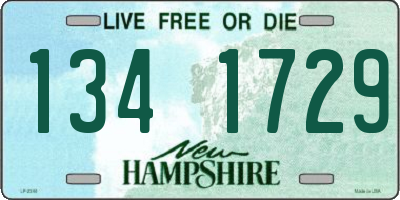 NH license plate 1341729