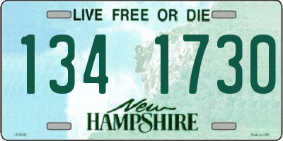 NH license plate 1341730