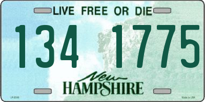NH license plate 1341775