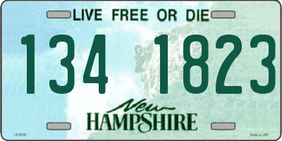 NH license plate 1341823