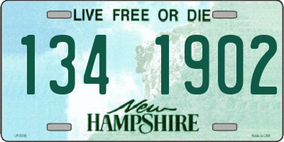 NH license plate 1341902