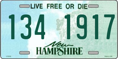 NH license plate 1341917